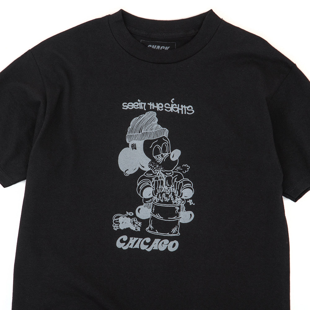 Seein The Sights Chicago T-Shirt (Black / Grey)