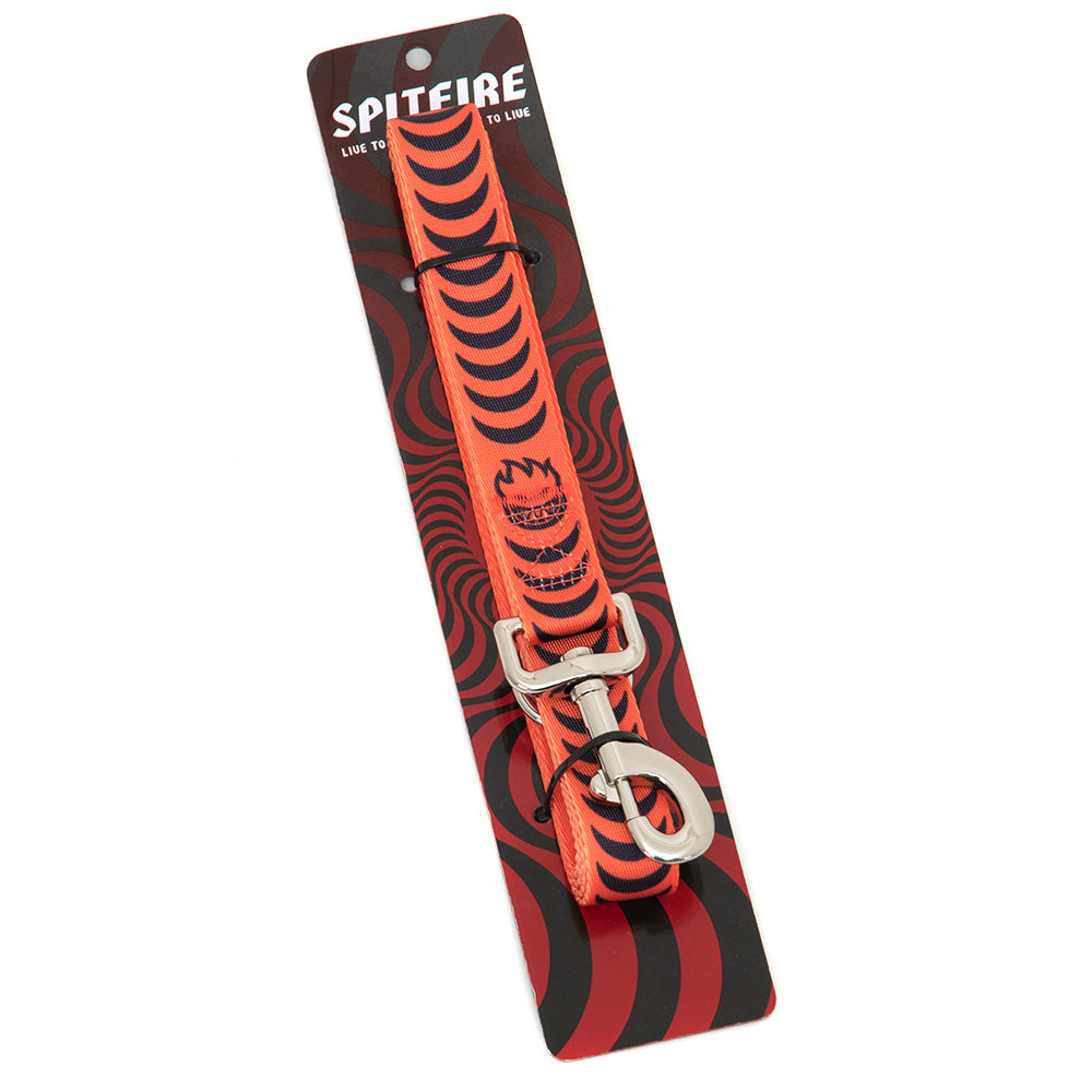 Bighead Crescent Dog Lead (Orange)