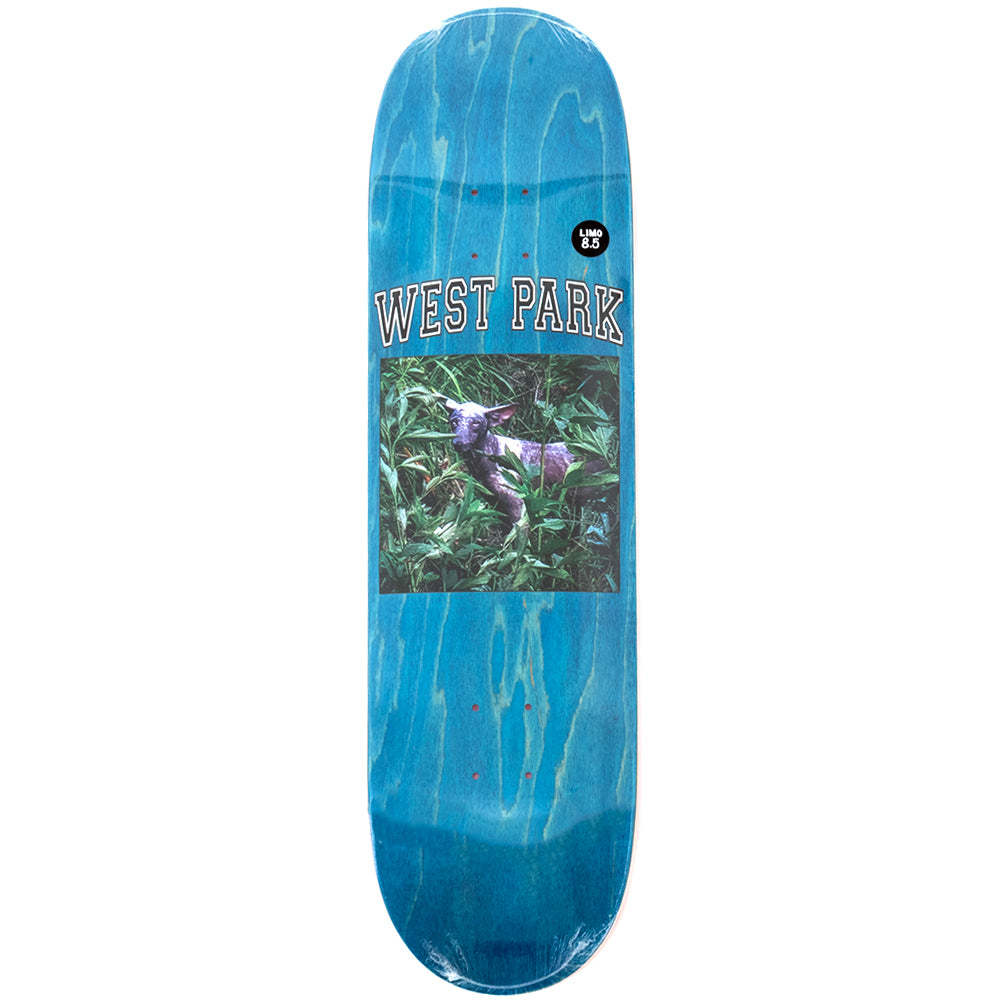 Loreth Angel Deck (8.5)