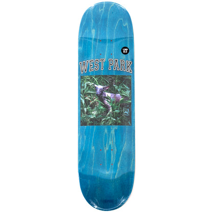 Loreth Angel Deck (8.5)