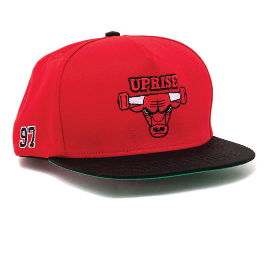 Home Team Snapback (Nose Bleed Red)